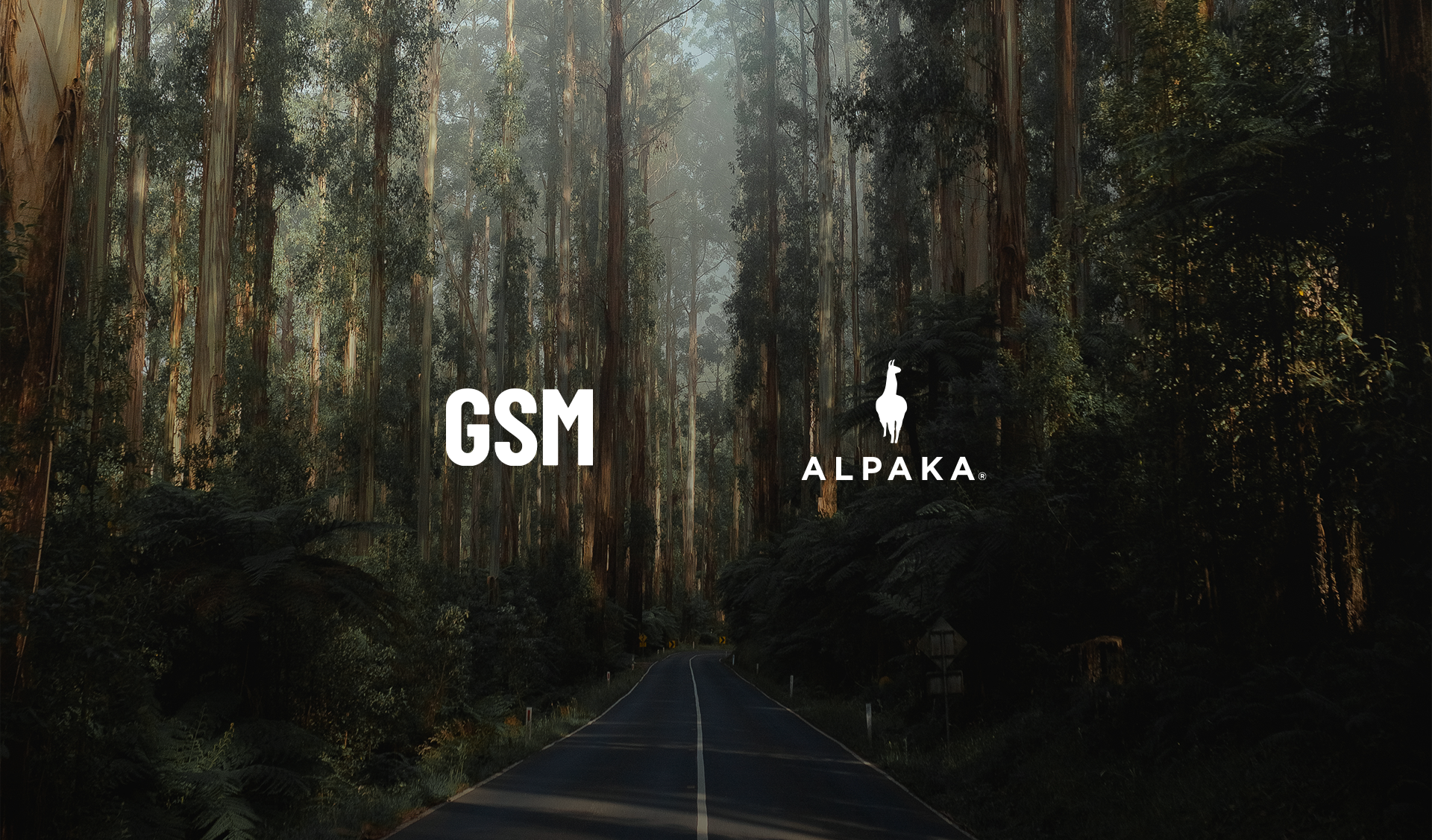 GSM X ALPAKA Good Places Digital Gallery