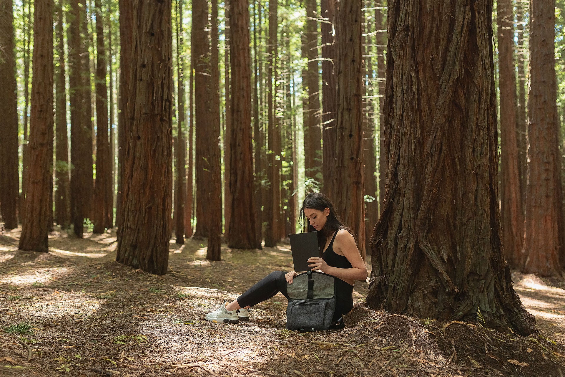 Things To Do During Self Isolation: Virtual National Park Tours
