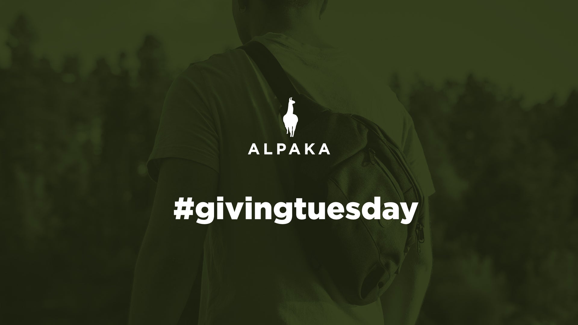 #GIVINGTUESDAY
