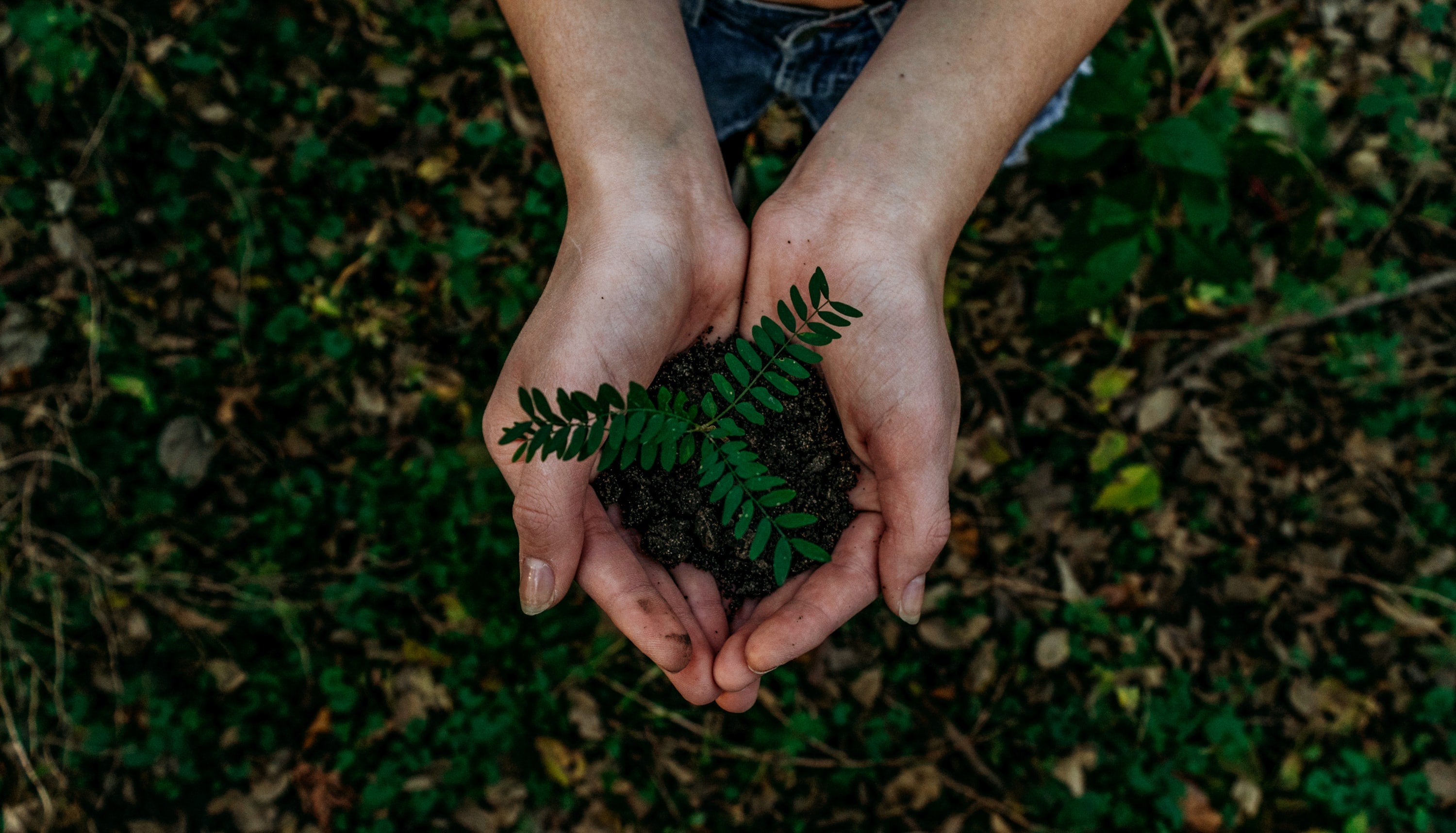 Earth Month
